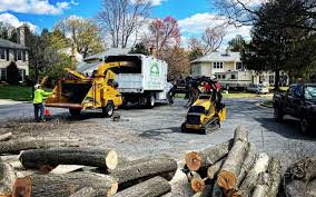 Best Lawn Renovation and Restoration  in Newberry, SC